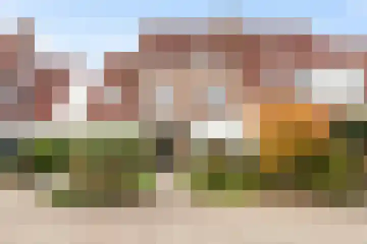 Bronmos 25 Reeuwijk thumbnail 7