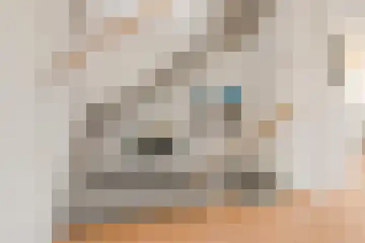Bronmos 3 Houten thumbnail 14