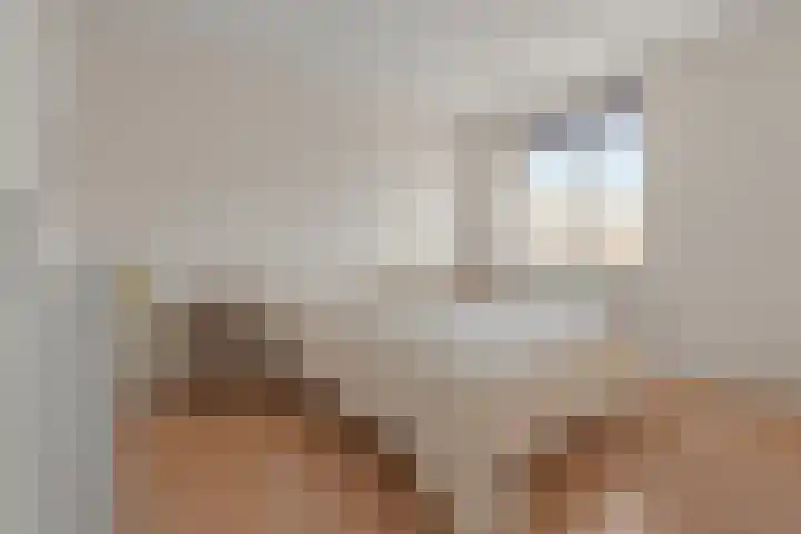 Bronmos 3 Houten thumbnail 15