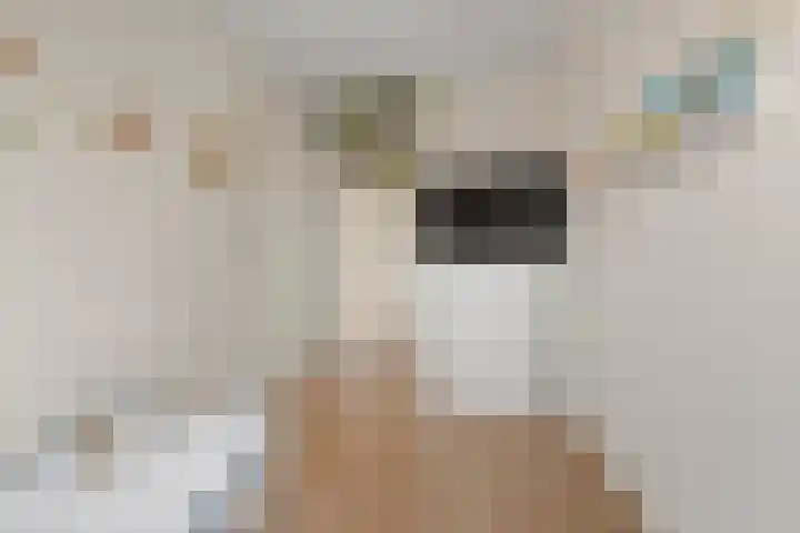 Bronmos 3 Houten thumbnail 20