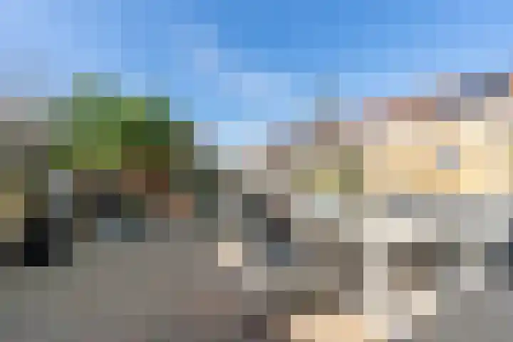 Bronmos 3 Houten thumbnail 26