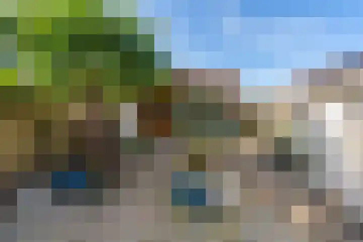 Bronmos 3 Houten thumbnail 27