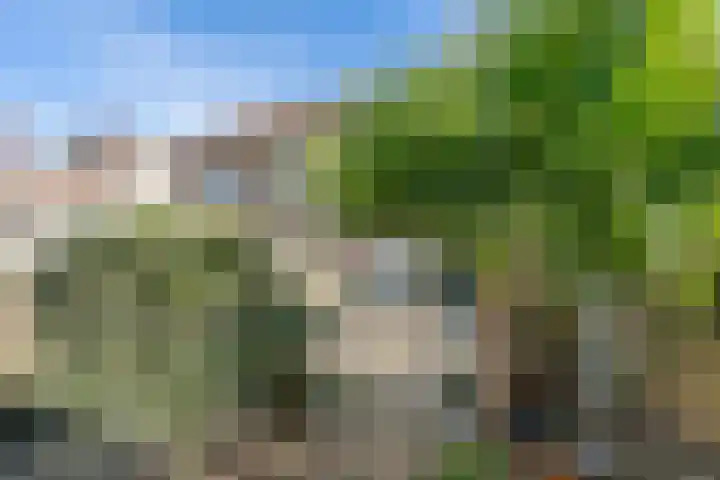 Bronmos 3 Houten thumbnail 28