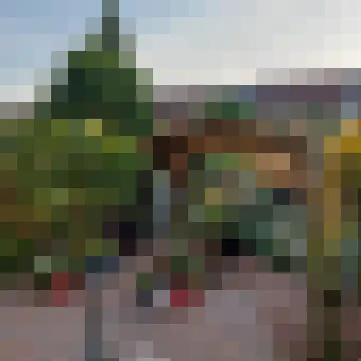 Bronmos 3 Houten thumbnail 29