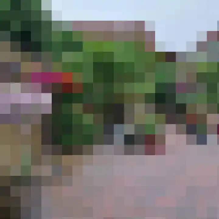 Bronmos 3 Houten thumbnail 30