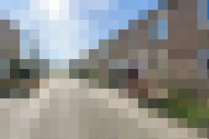 Bronmos 3 Houten thumbnail 31