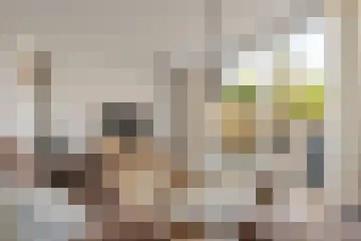 Bronmos 3 Houten thumbnail 6
