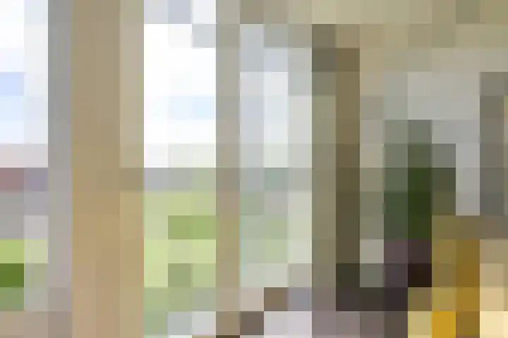 Bronmos 48 Houten thumbnail 12