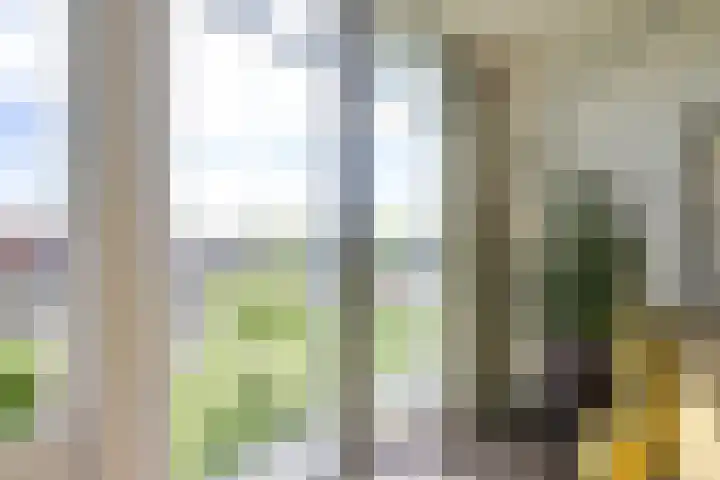 Bronmos 48 Houten thumbnail 13
