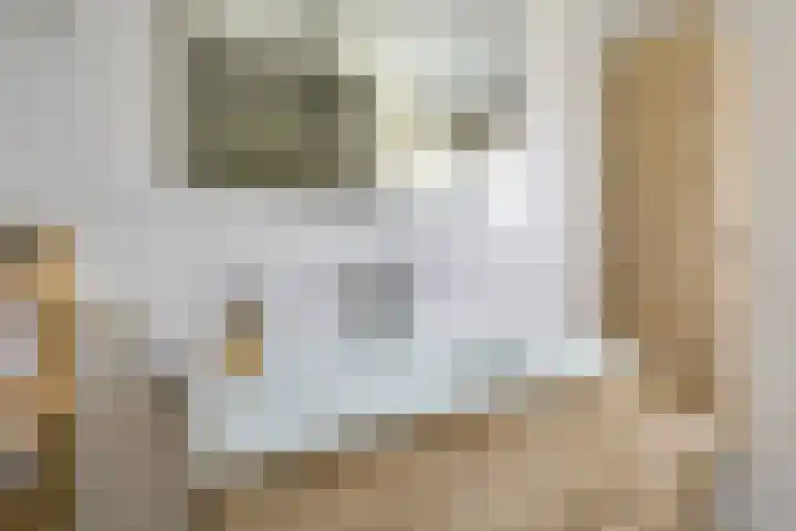 Bronmos 48 Houten thumbnail 21