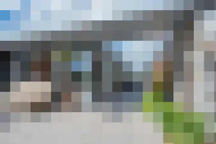 Bronmos 48 Houten thumbnail 34