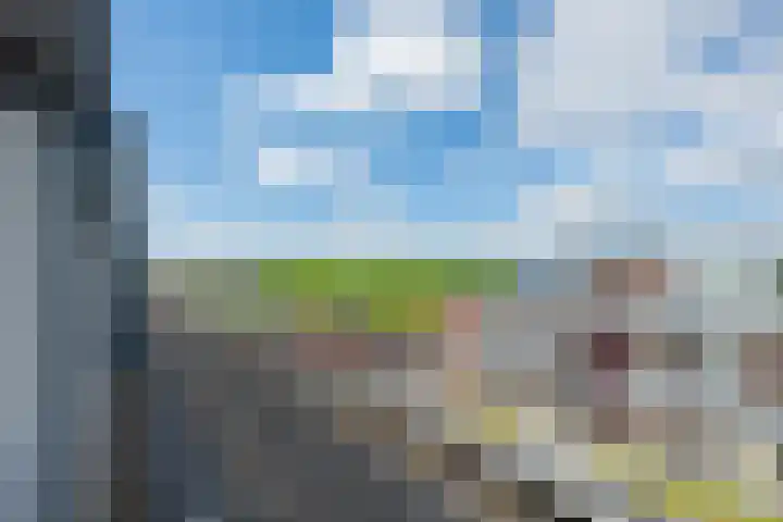 Bronmos 48 Houten thumbnail 36