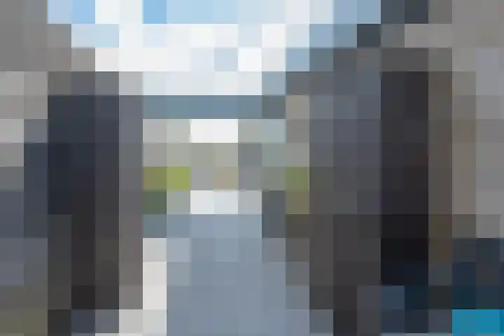 Bronmos 48 Houten thumbnail 38