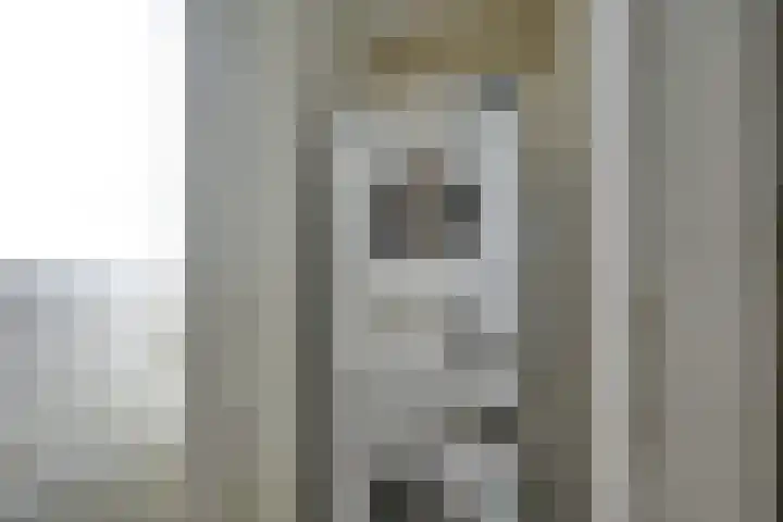 Bronmos 48 Houten thumbnail 39