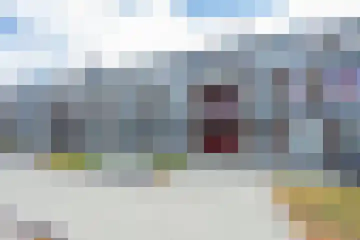Bronmos 48 Houten thumbnail 4