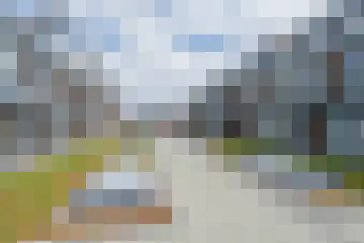 Bronmos 48 Houten thumbnail 41