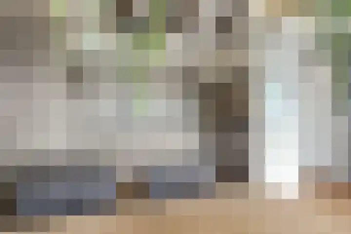 Bronmos 54 Houten thumbnail 14