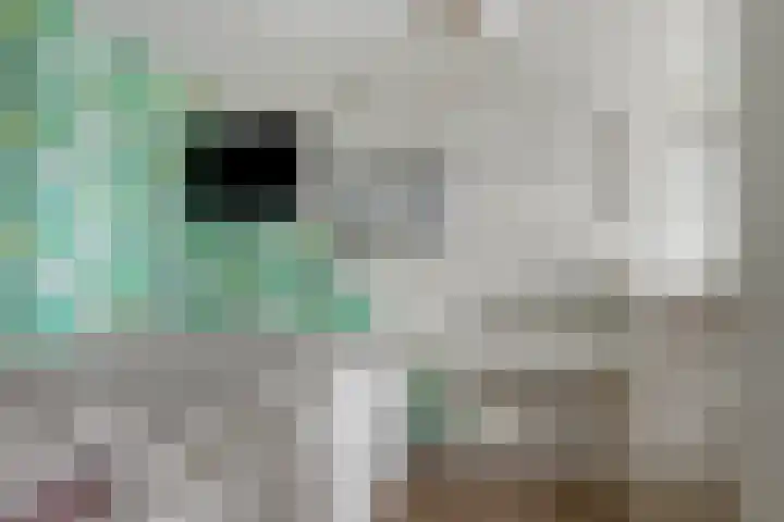 Bronmos 54 Houten thumbnail 20