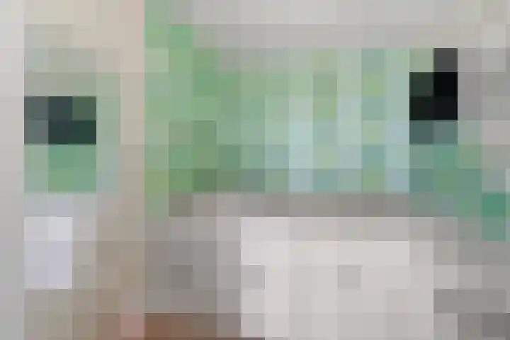 Bronmos 54 Houten thumbnail 21