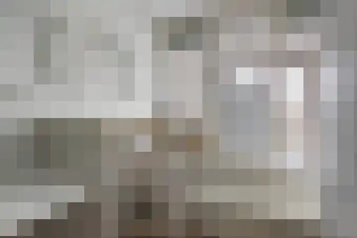 Bronmos 54 Houten thumbnail 22