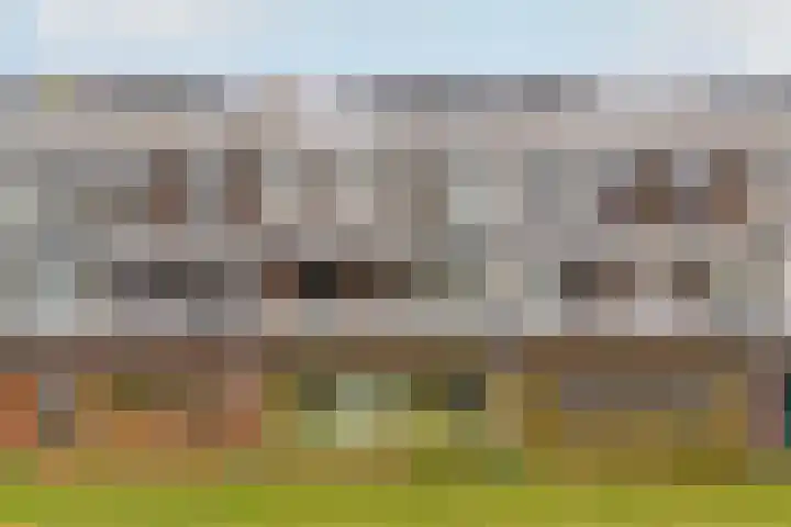 Bronmos 54 Houten thumbnail 27
