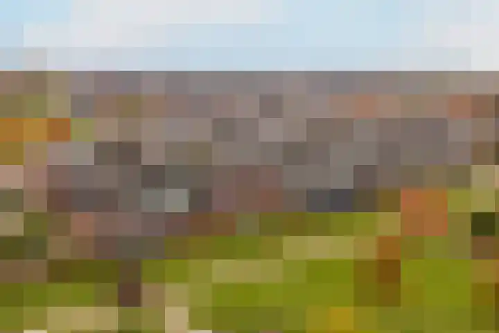 Bronmos 54 Houten thumbnail 29