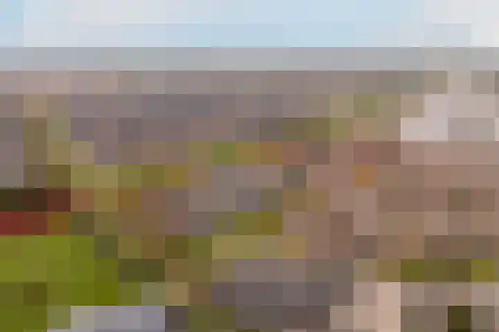 Bronmos 54 Houten thumbnail 30