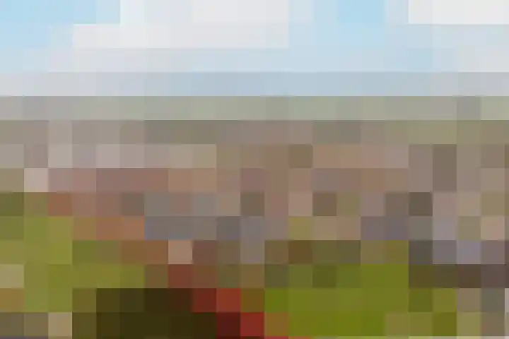 Bronmos 54 Houten thumbnail 32