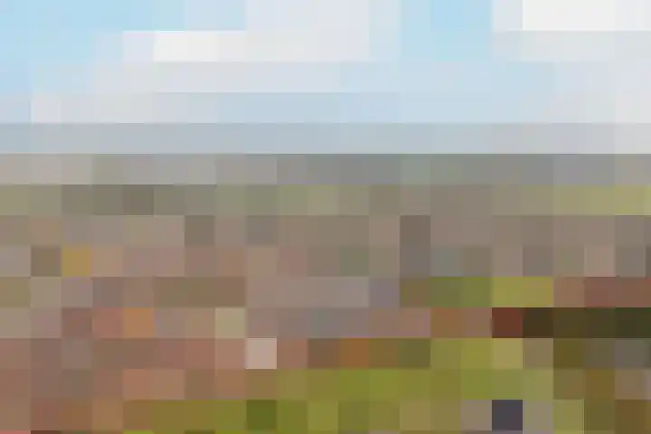 Bronmos 54 Houten thumbnail 33