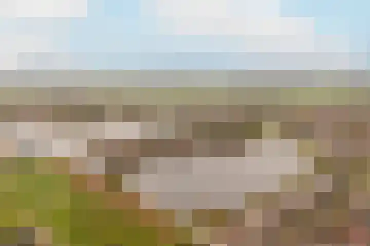 Bronmos 54 Houten thumbnail 35