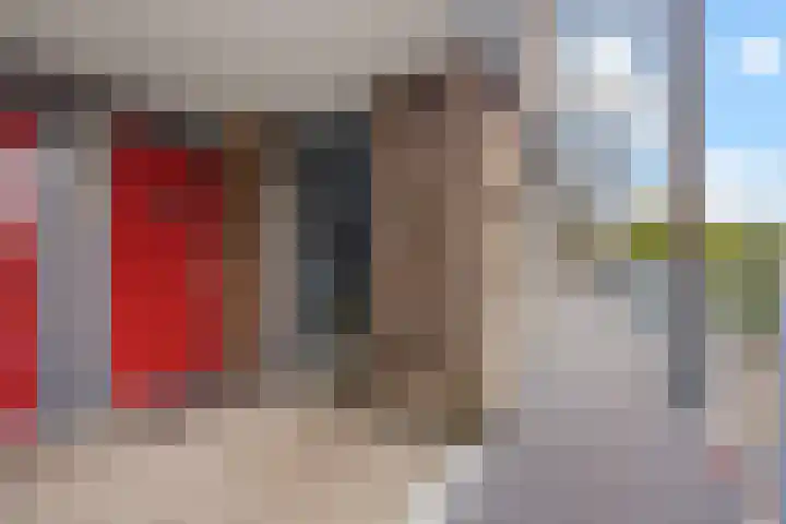 Bronmos 54 Houten thumbnail 4