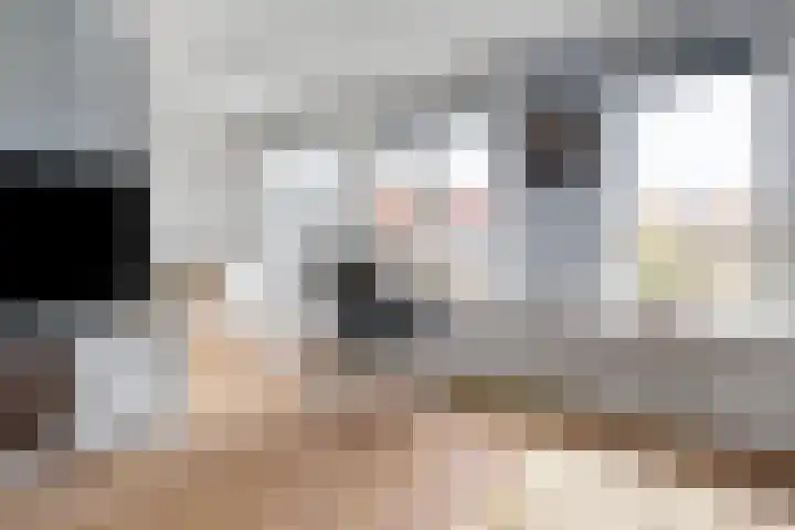 Bronmos 54 Houten thumbnail 9