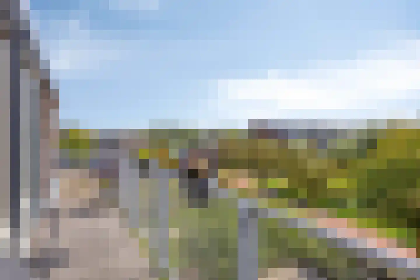Bronmos 66 Houten thumbnail 14