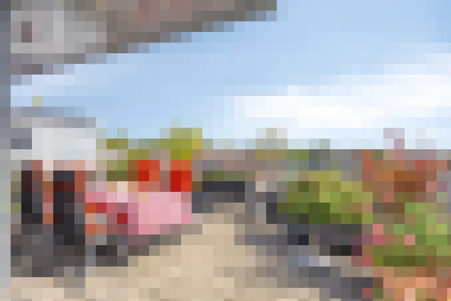 Bronmos 66 Houten thumbnail 26