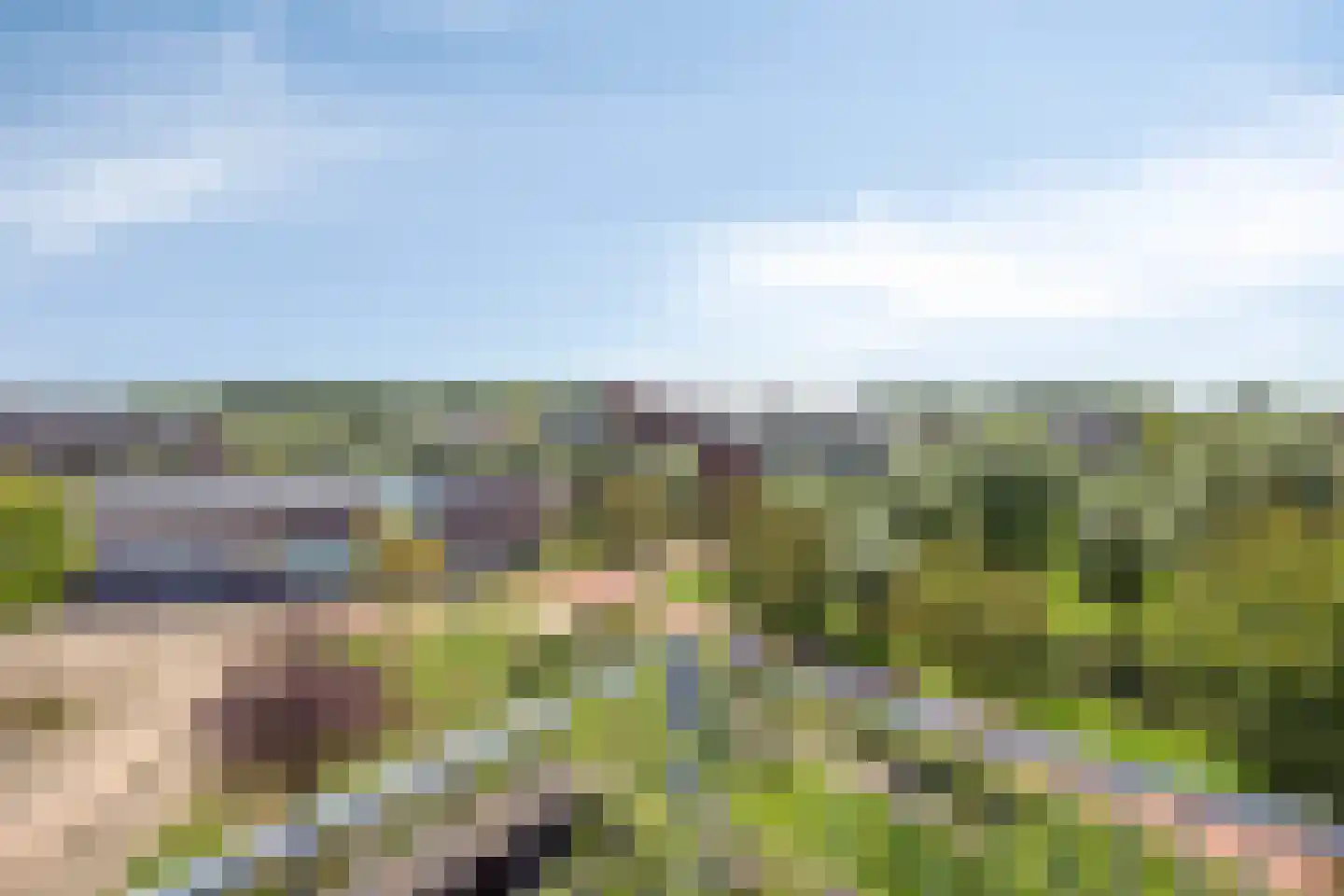 Bronmos 66 Houten thumbnail 28