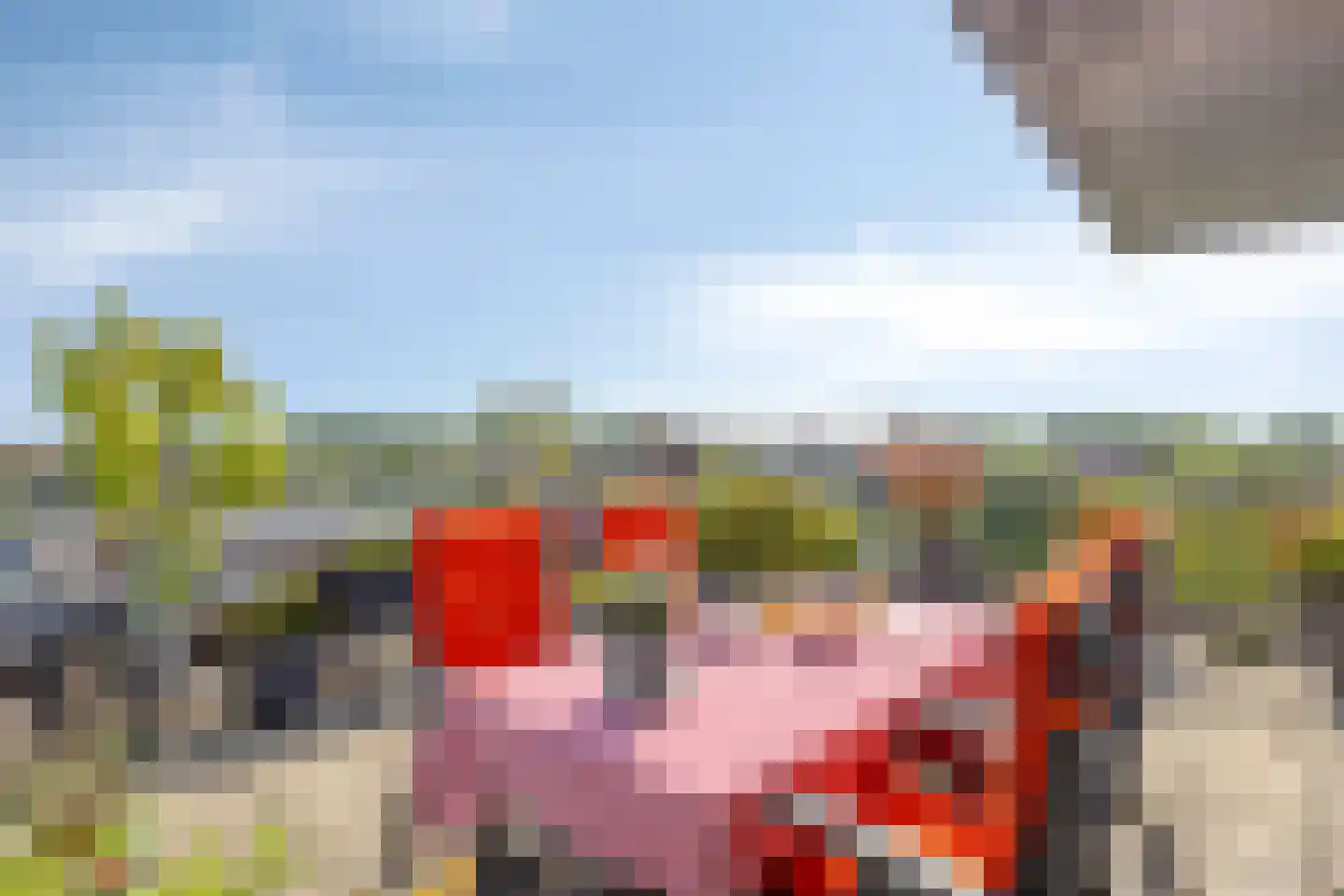 Bronmos 66 Houten thumbnail 29