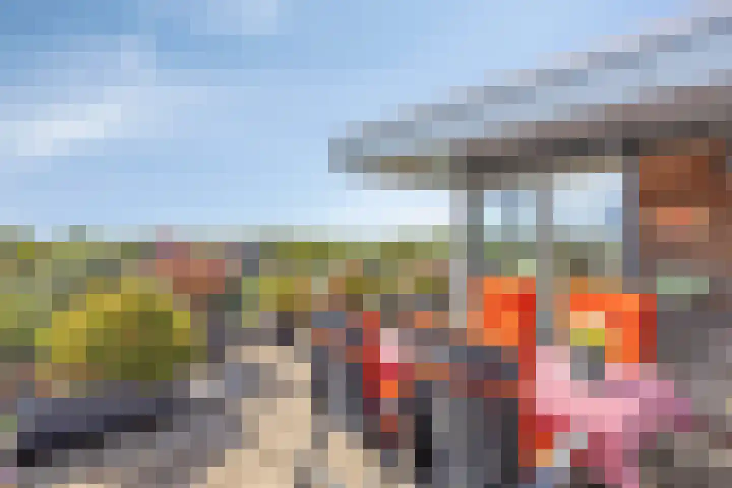Bronmos 66 Houten thumbnail 30