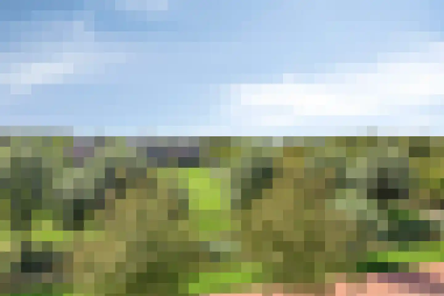 Bronmos 66 Houten thumbnail 31