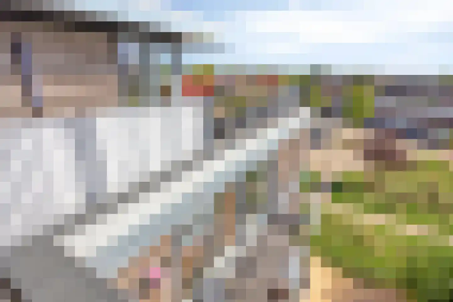 Bronmos 66 Houten thumbnail 34