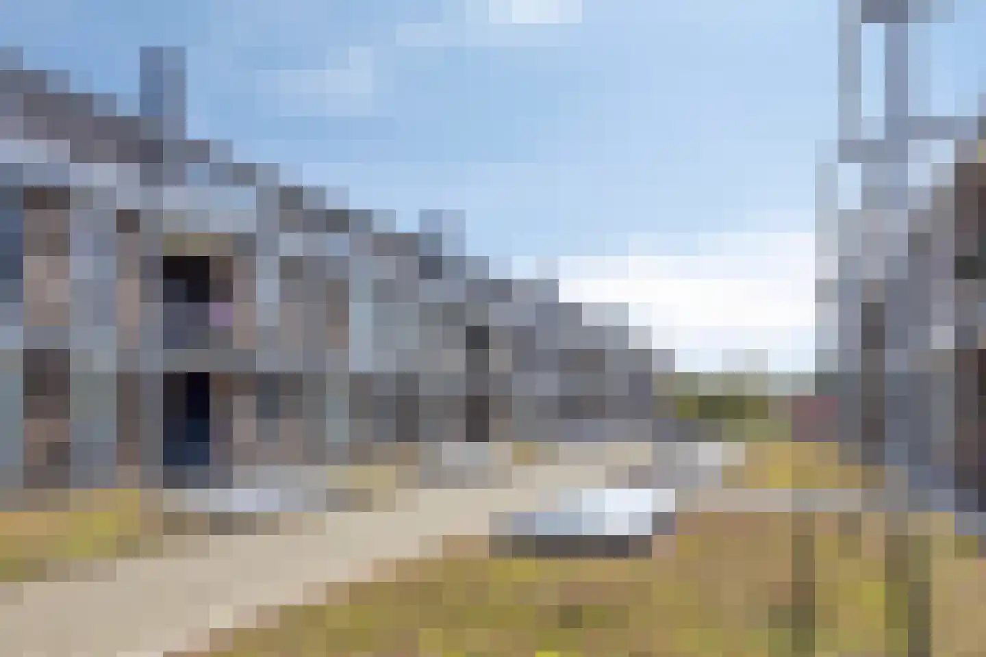 Bronmos 66 Houten thumbnail 36
