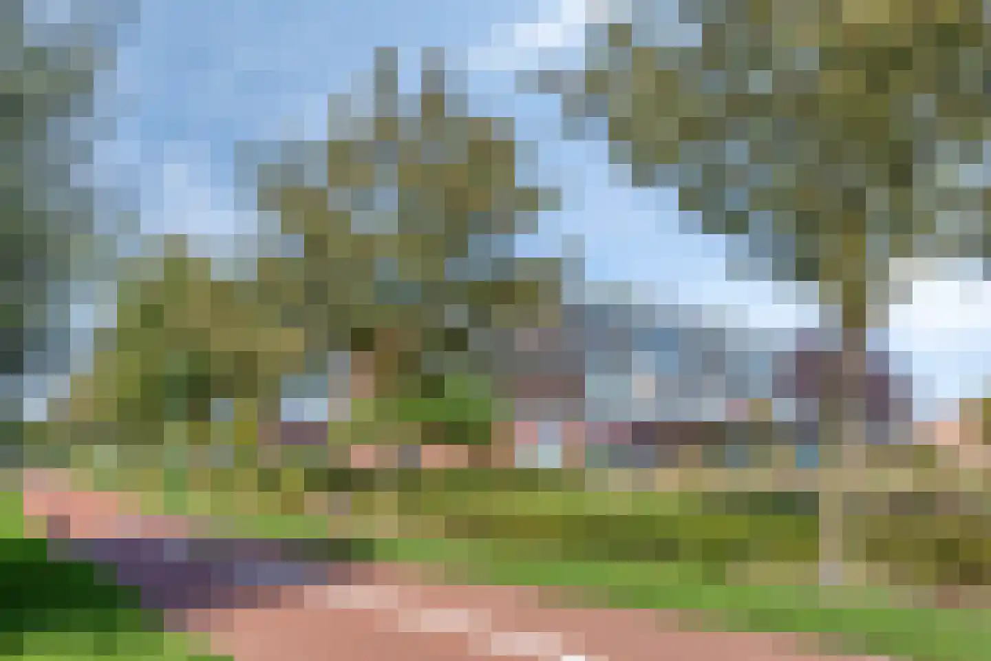 Bronmos 66 Houten thumbnail 40