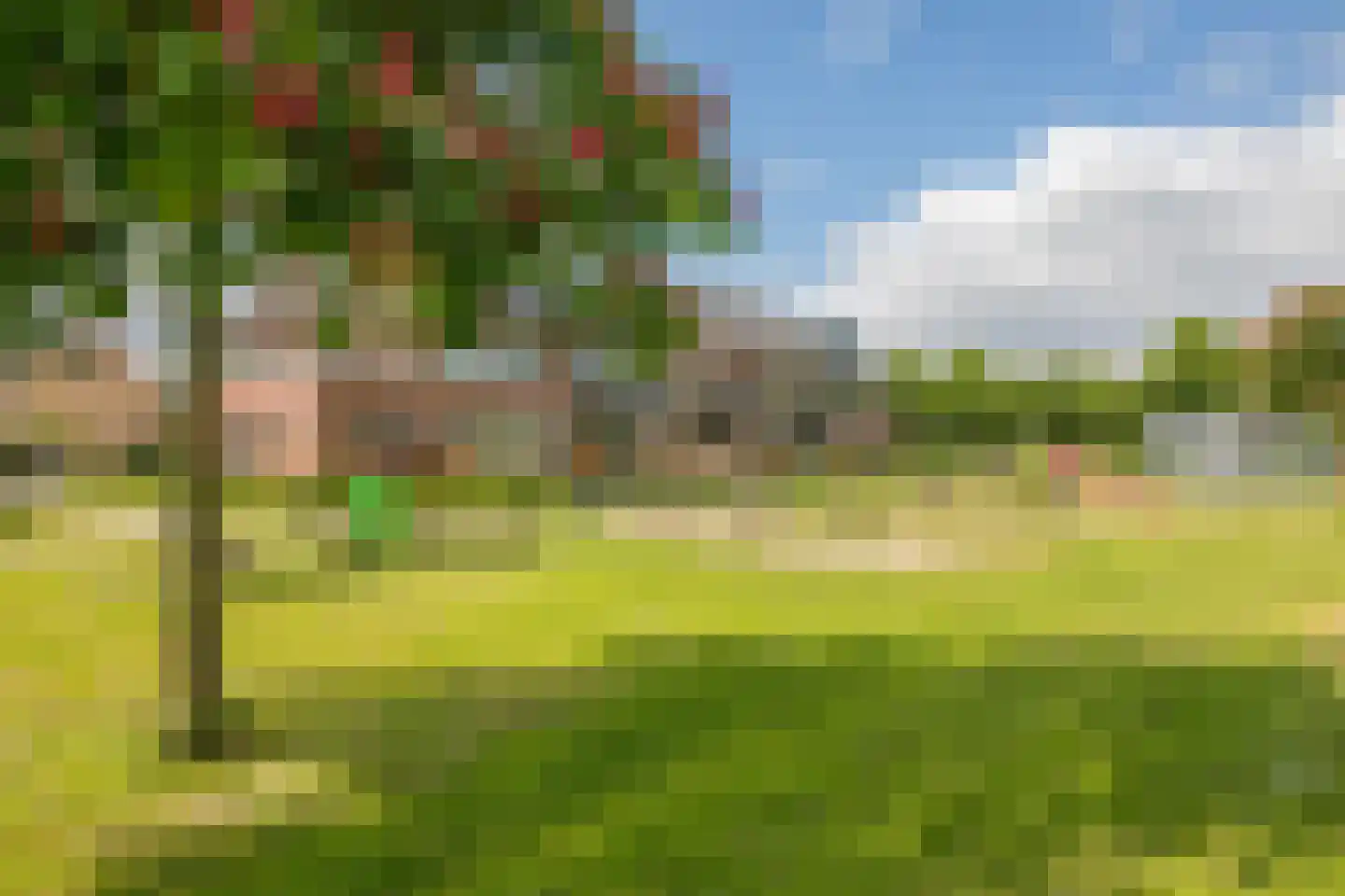 Bronmos 66 Houten thumbnail 42