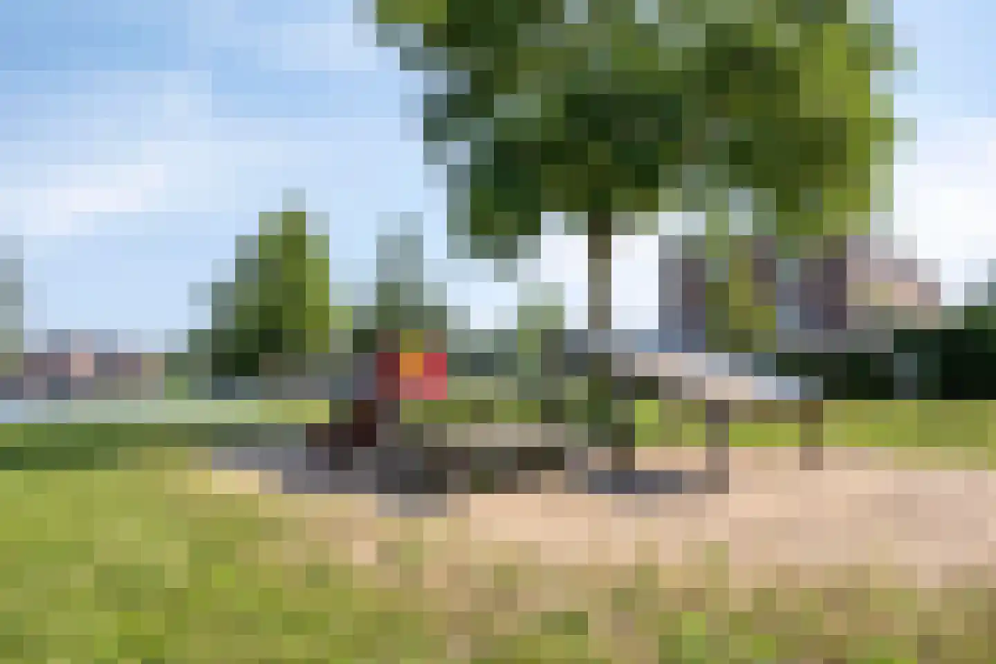 Bronmos 66 Houten thumbnail 45