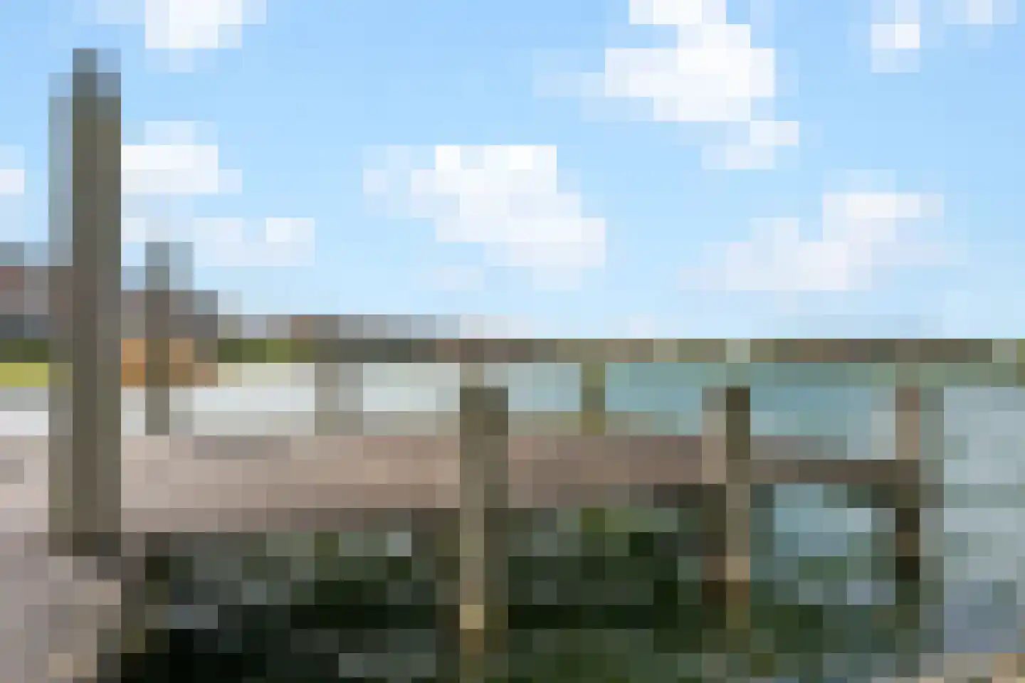 Bronmos 66 Houten thumbnail 46