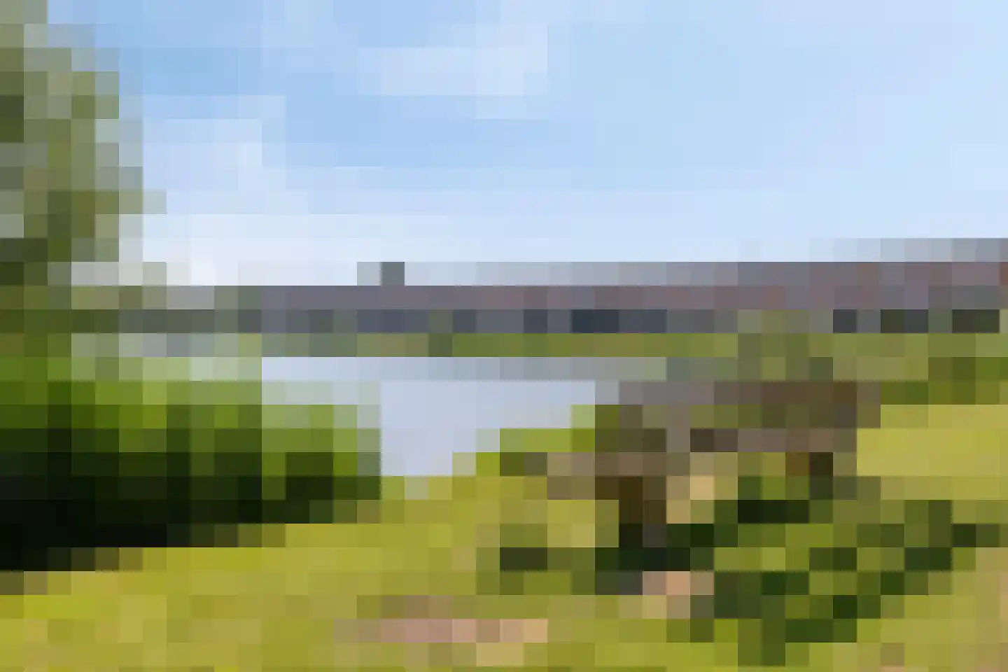 Bronmos 66 Houten thumbnail 50