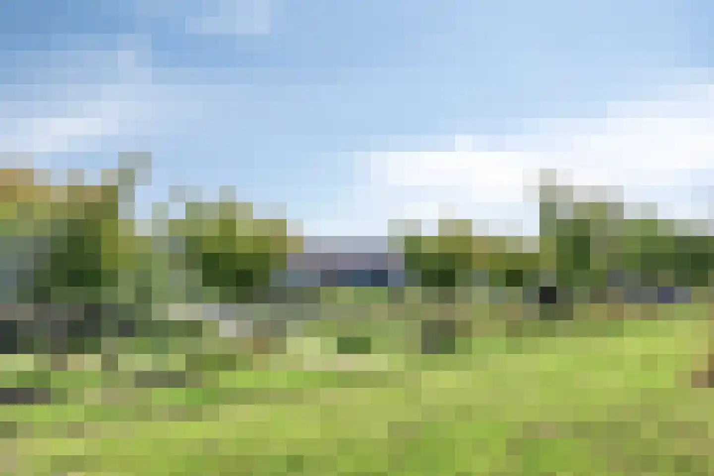 Bronmos 66 Houten thumbnail 52