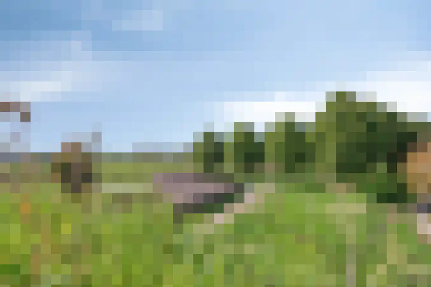 Bronmos 66 Houten thumbnail 53