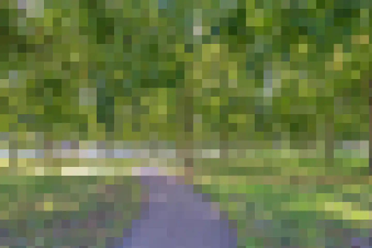 Bronmos 66 Houten thumbnail 54