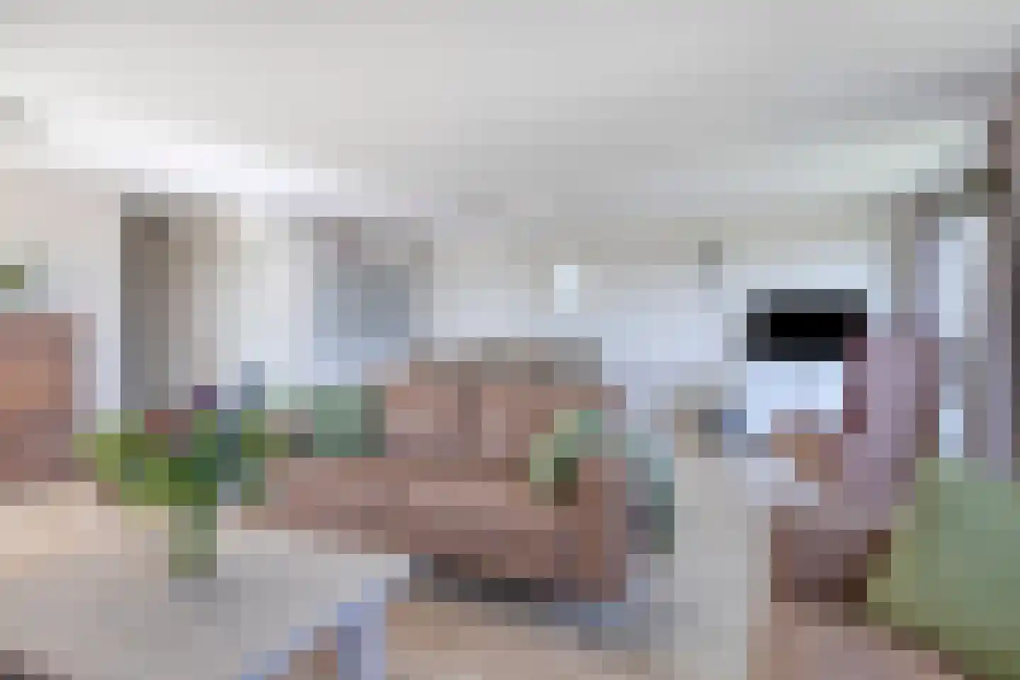 Bronmos 66 Houten thumbnail 6