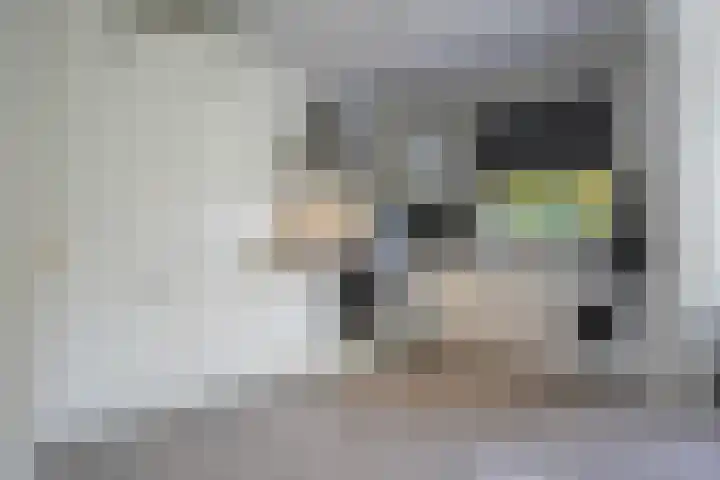 Bronnenstraat 24 Vaals thumbnail 8